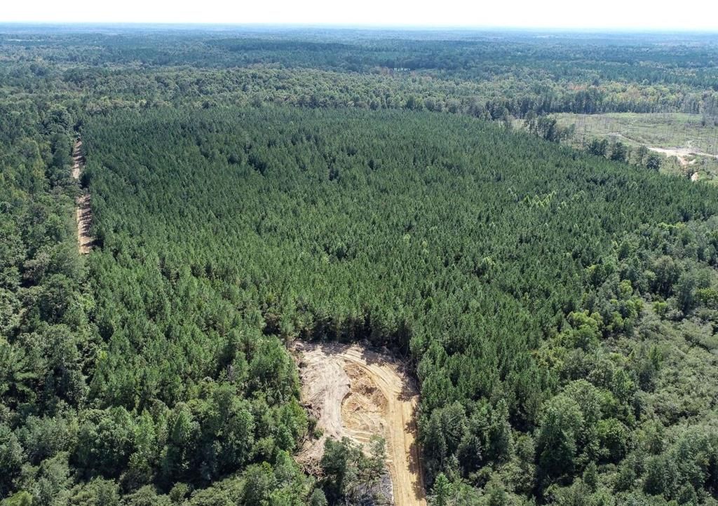 Photo of 222 Beaverdam Rd - Camden - Madison County, OTHER, MS 39045 (MLS # 162339)