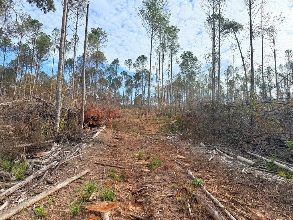 Photo of 00 Perkins St, PONTOTOC, MS 38655 (MLS # 162199)