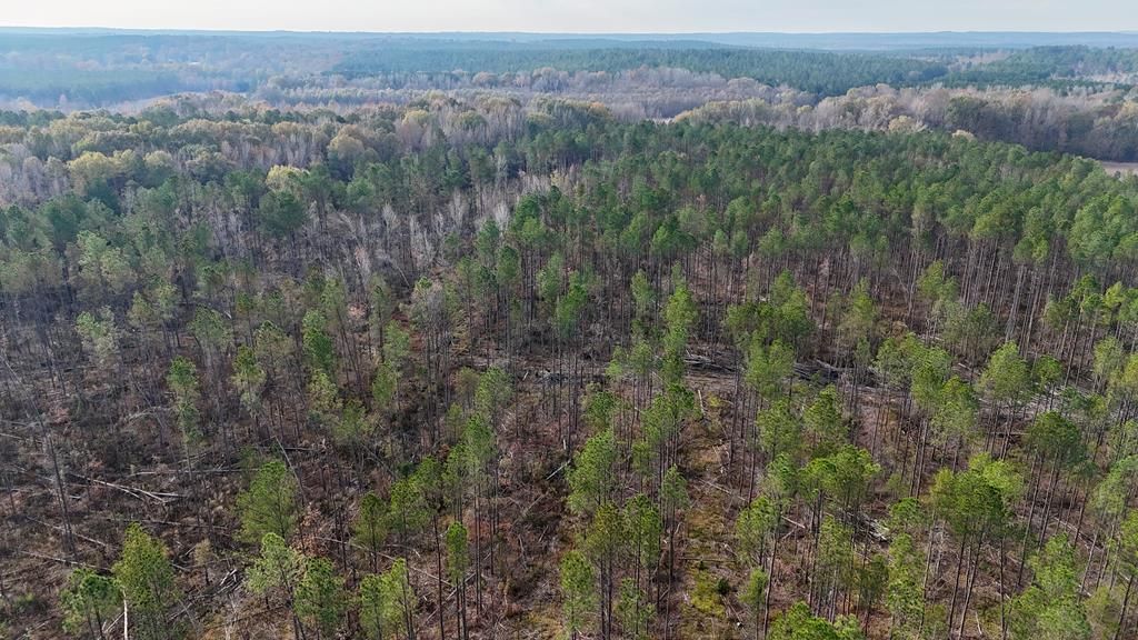 Photo of 00 Perkins St, PONTOTOC, MS 38655 (MLS # 162199)