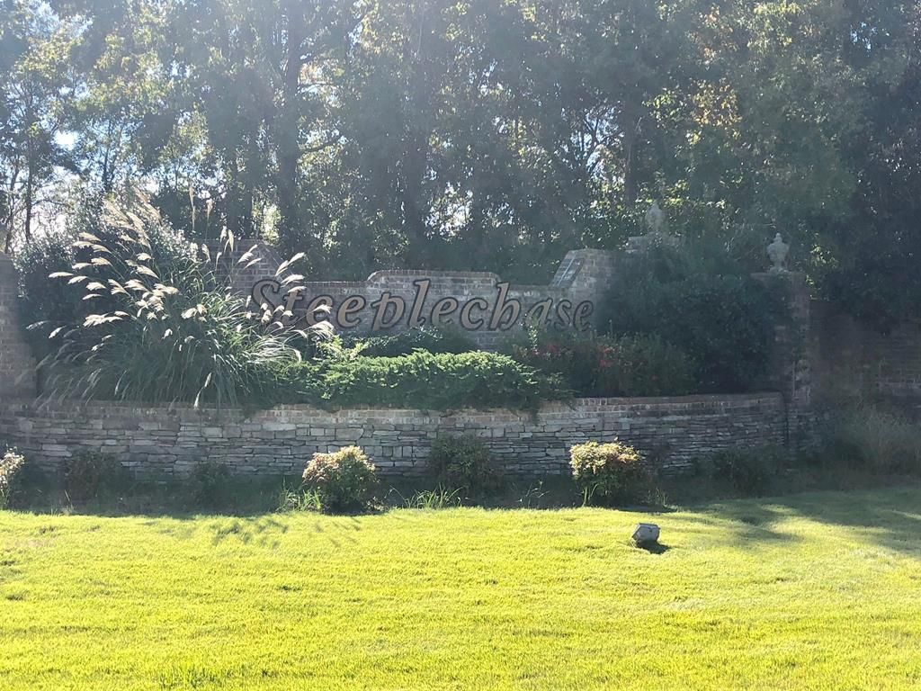 Photo of TBD Equestrian Drive, OXFORD, MS 38655 (MLS # 162168)