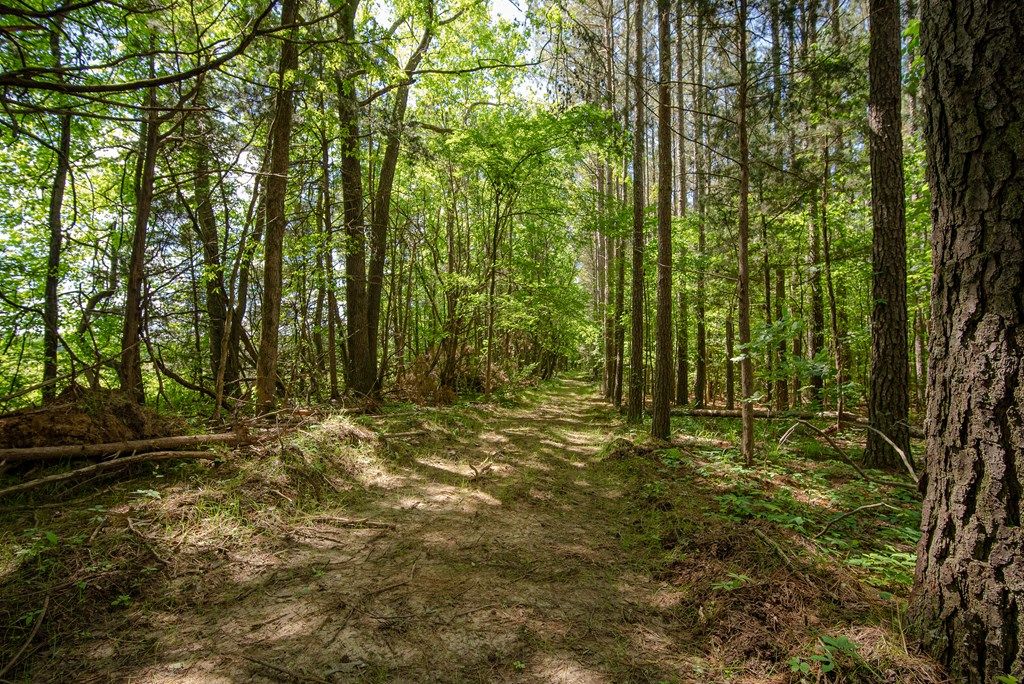 Photo of 00 Cr 215, ABBEVILLE, MS 38601 (MLS # 162347)