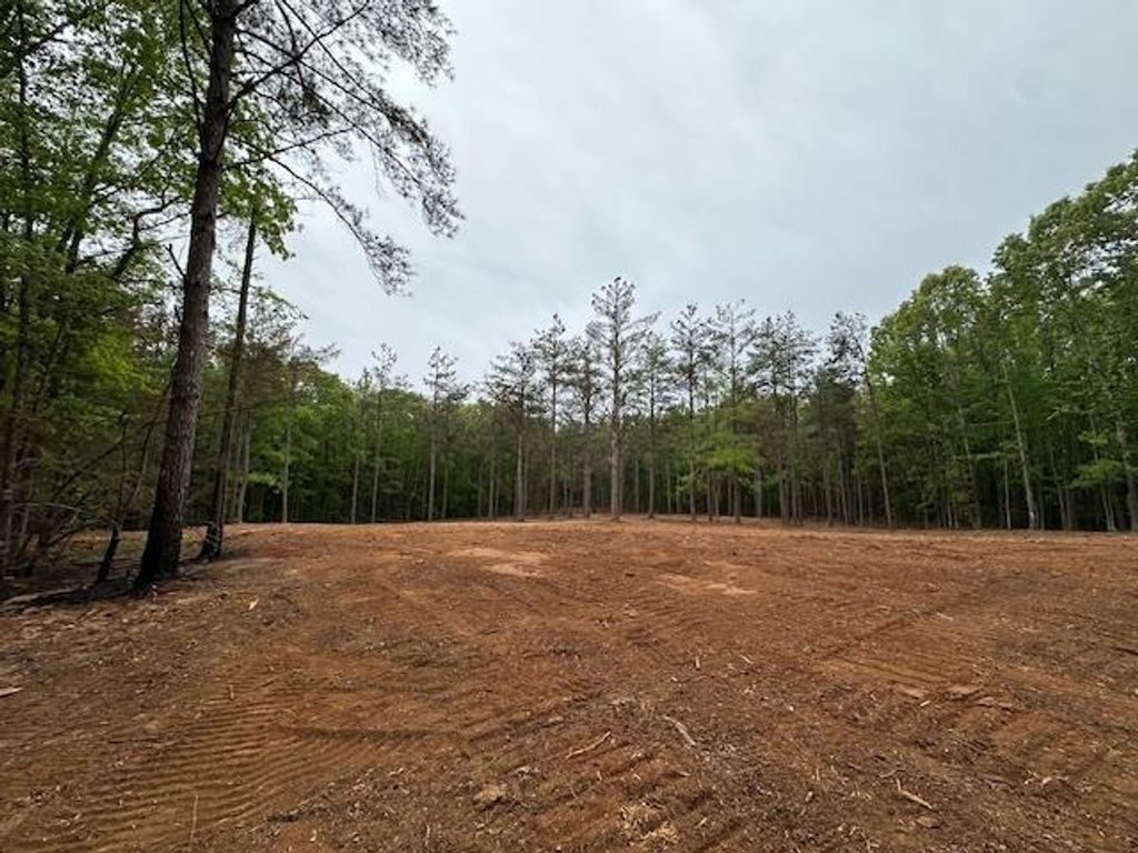 Photo of TBD Cr 255 (Lafayette County) ST, THAXTON, MS 38871 (MLS # 167268)