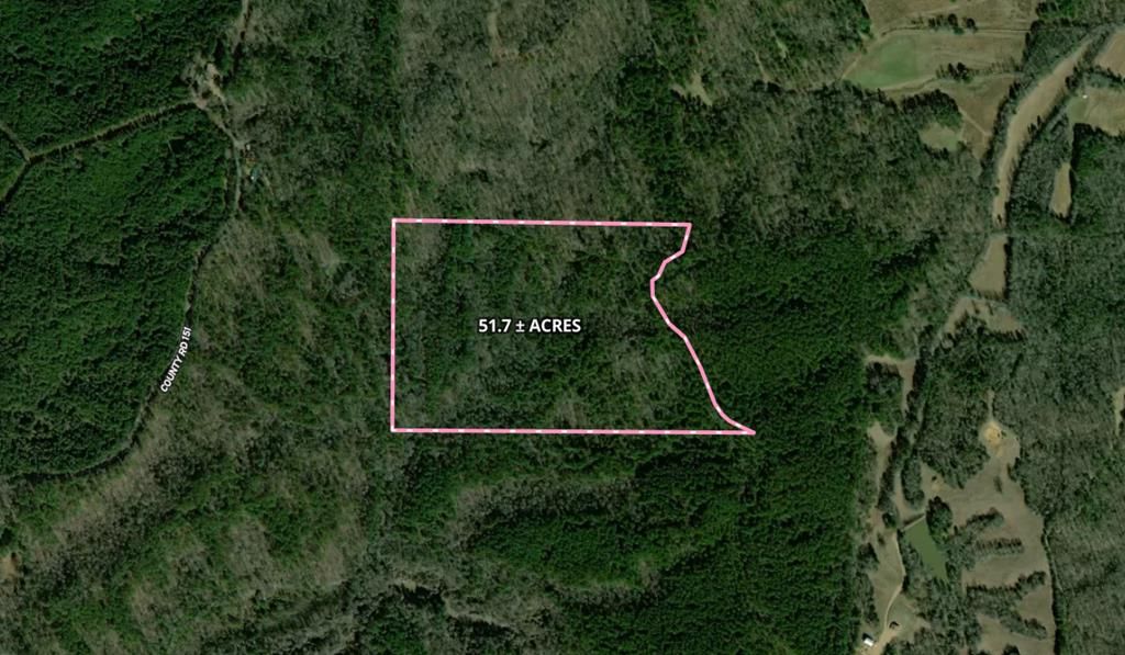 Photo of 51.7 ac County Road 56, WATER VALLEY, MS 38965 (MLS # 167306)