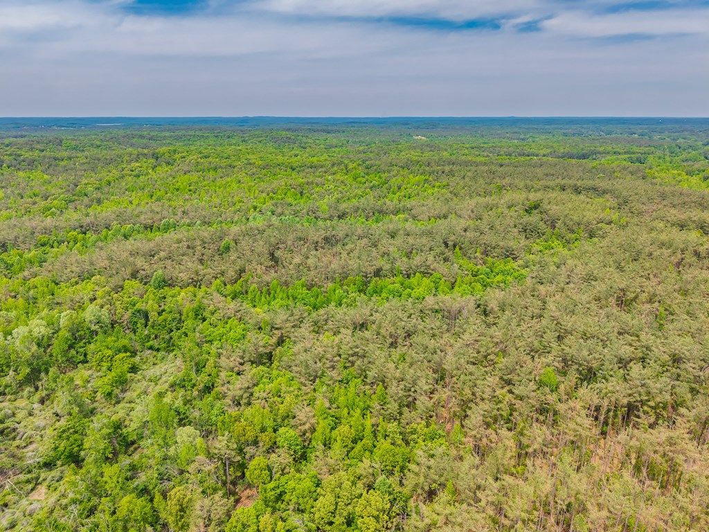 Photo of 51.7 ac County Road 56, WATER VALLEY, MS 38965 (MLS # 167306)