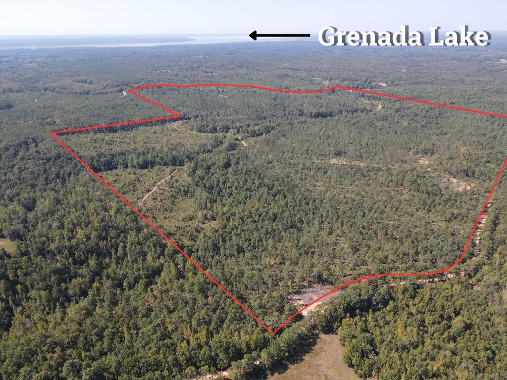 Photo of COFFEEVILLE, MS 38922 (MLS # 168476)