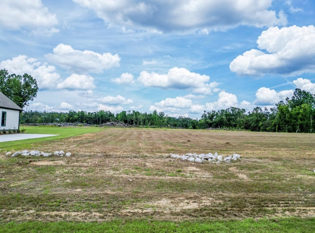 Photo of NEW ALBANY, MS 38652 (MLS # 167934)