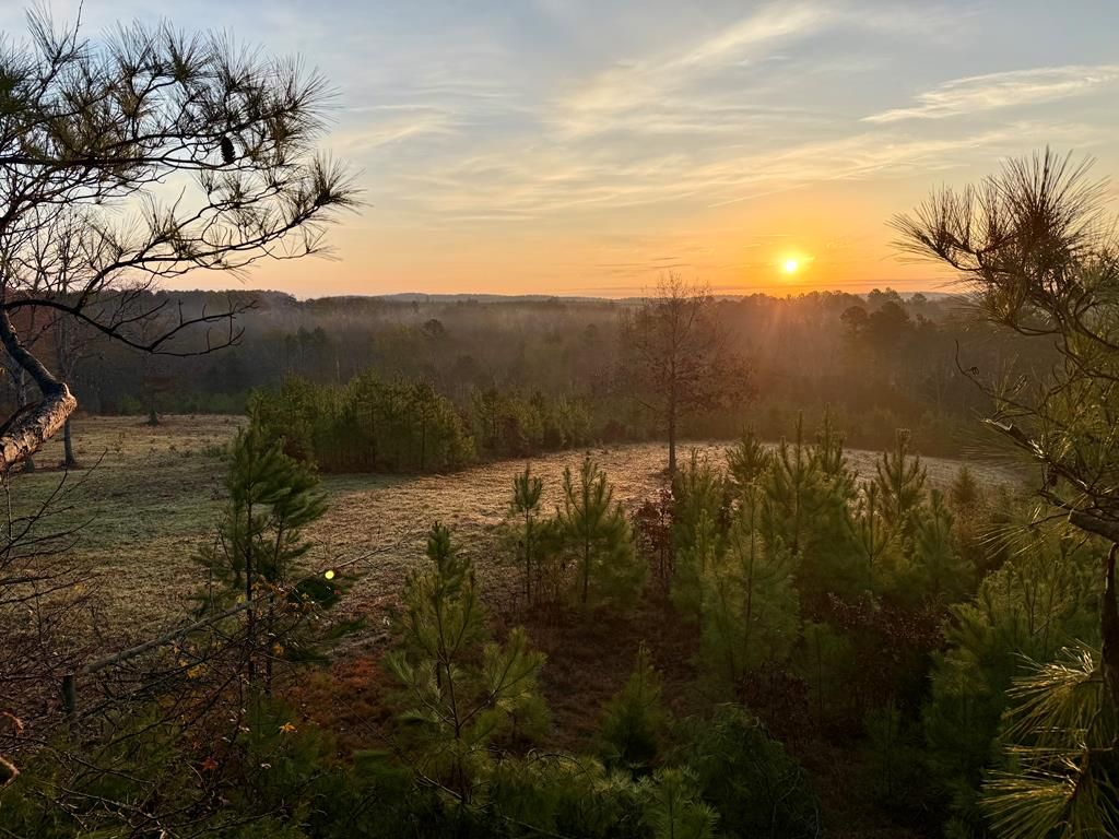 Photo of 00 Cr 82, COFFEEVILLE, MS 38922 (MLS # 162297)