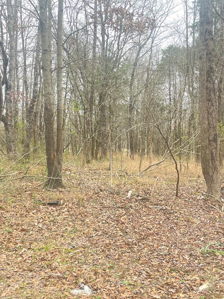 Photo of BYHALIA, MS 38611 (MLS # 168668)