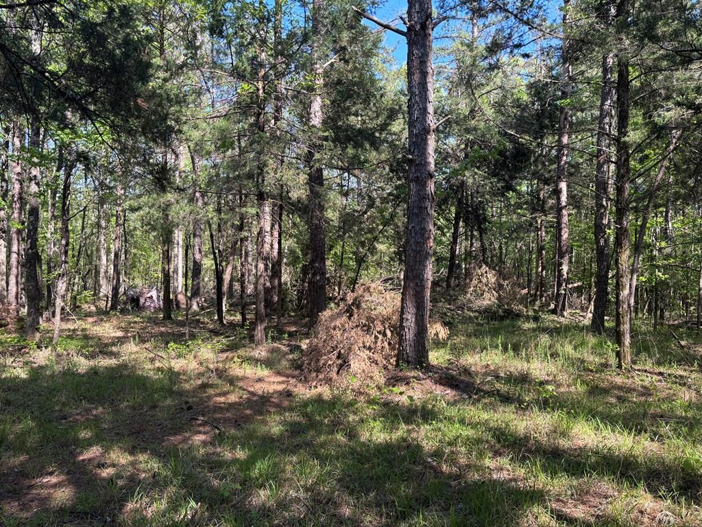 Photo of 00 Hobby Coop Road, THAXTON, MS 38871 (MLS # 167180)