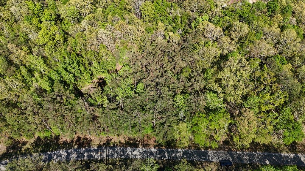 Photo of 00 Hobby Coop Road, THAXTON, MS 38871 (MLS # 167180)