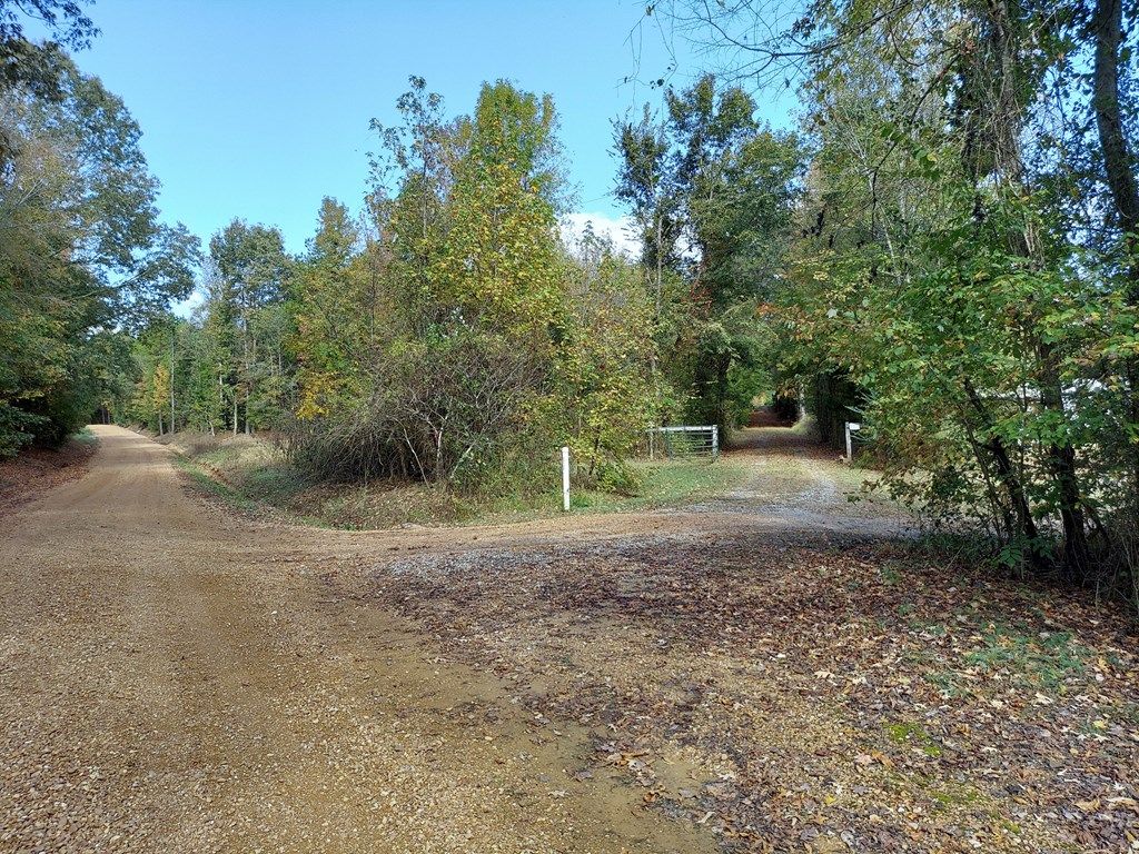 Photo of 521 Cr 442, OXFORD, MS 38655 (MLS # 161963)