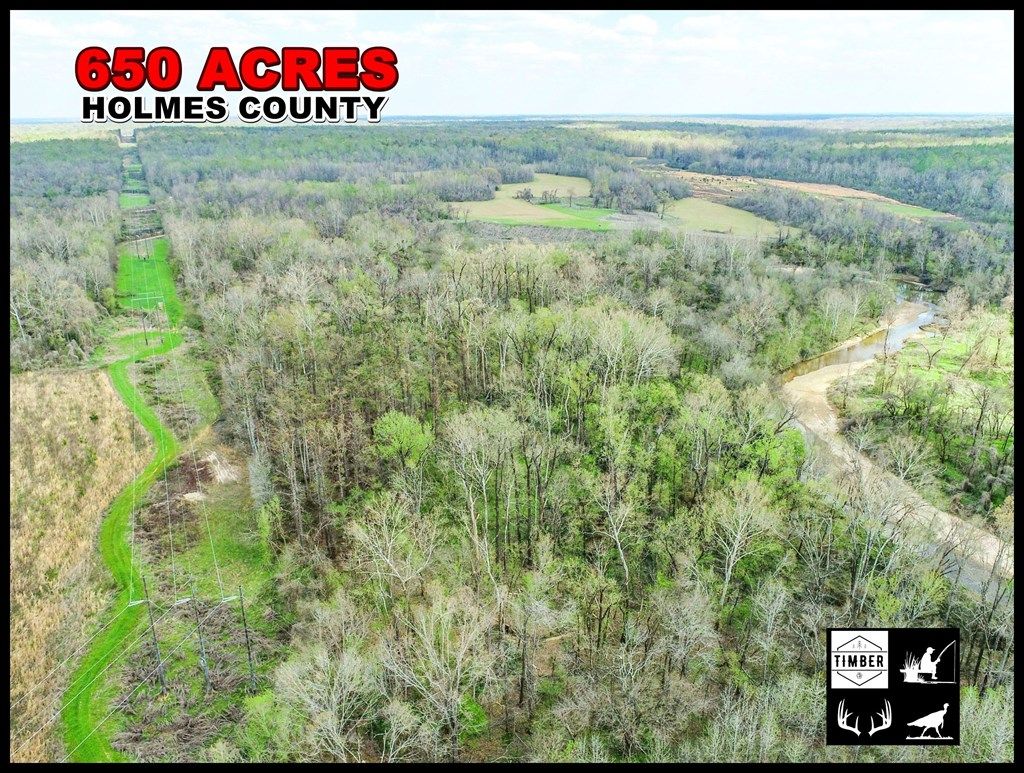 Photo of OTHER, MS 39095 (MLS # 168022)