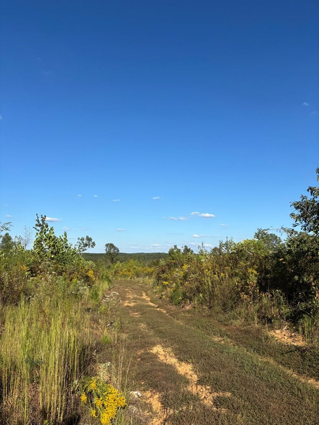Photo of 00 Cr 115, WATER VALLEY, MS 38965 (MLS # 161807)
