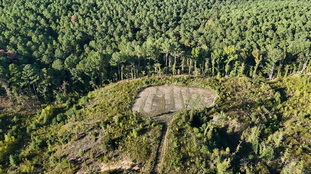 Photo of 00 Cr 115, WATER VALLEY, MS 38965 (MLS # 161807)