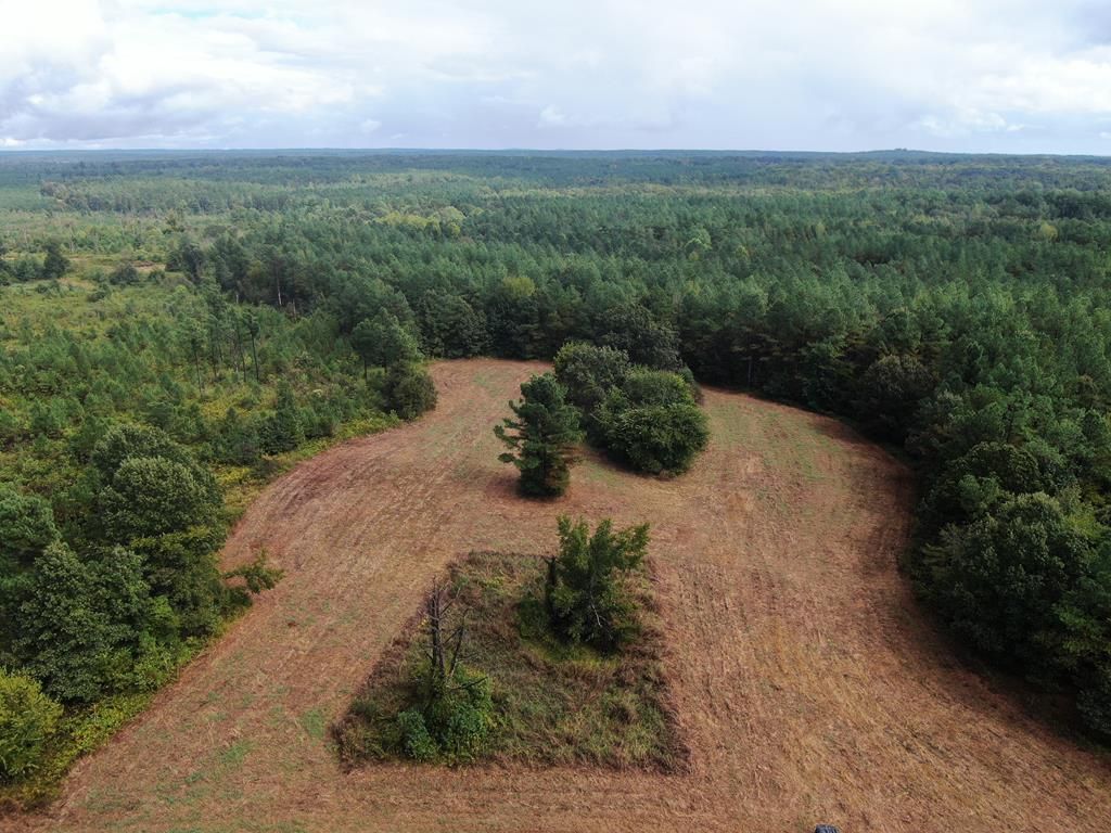 Photo of 0 Mt. Gilead Road, HOLLY SPRINGS, MS 38635 (MLS # 161756)