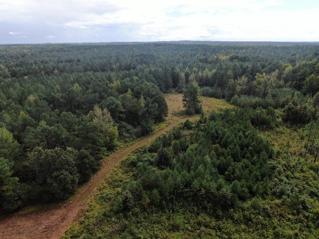 Photo of 0 Mt. Gilead Road, HOLLY SPRINGS, MS 38635 (MLS # 161756)