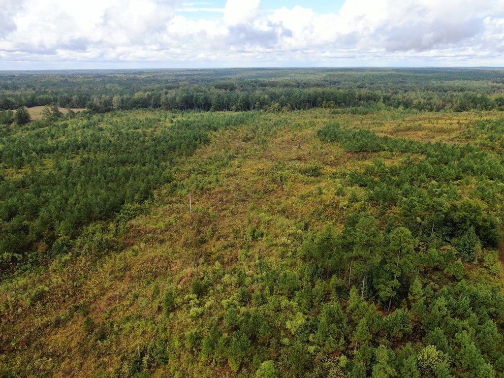 Photo of 0 Mt. Gilead Road, HOLLY SPRINGS, MS 38635 (MLS # 161756)