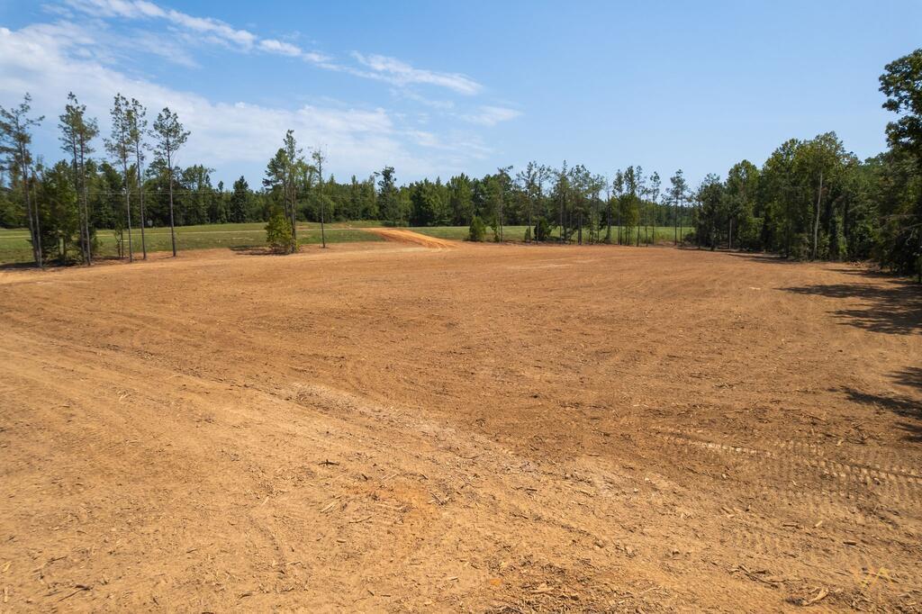 Photo of THAXTON, MS 38871 (MLS # 168432)