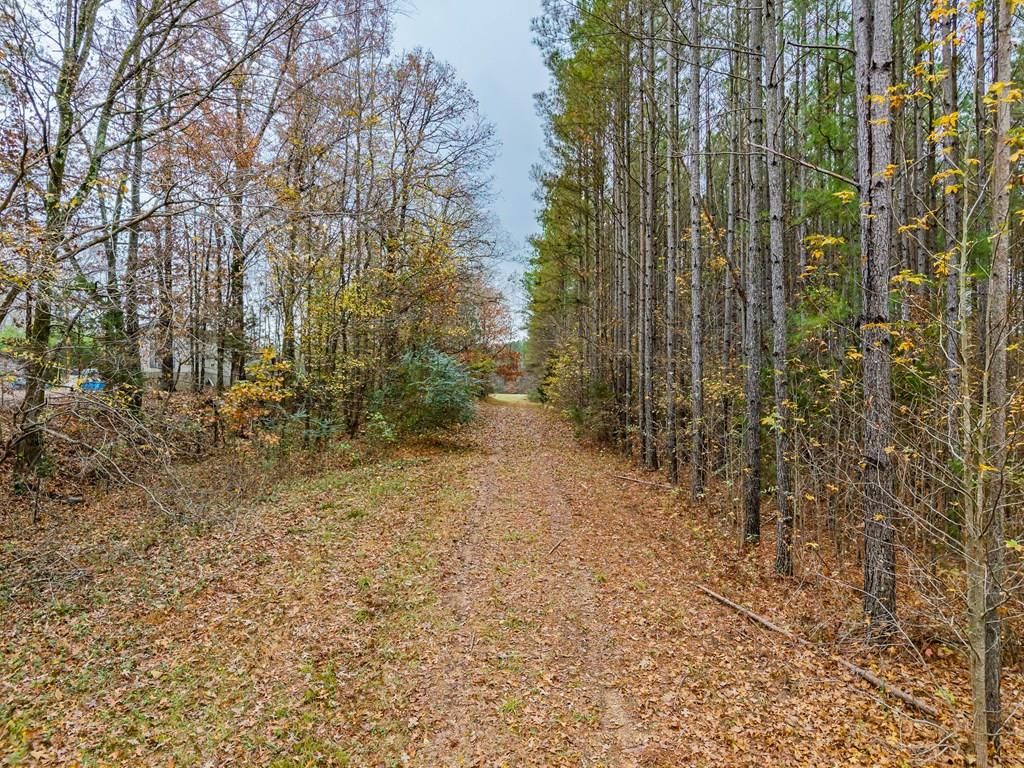 Photo of 00 Cr 102, OXFORD, MS 38655 (MLS # 162173)