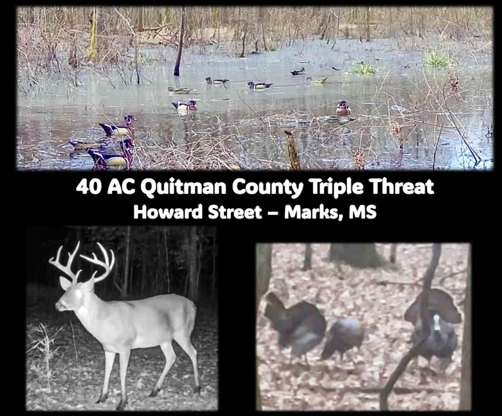 Photo of 0 Howard Street, MARKS, MS 38646 (MLS # 162147)