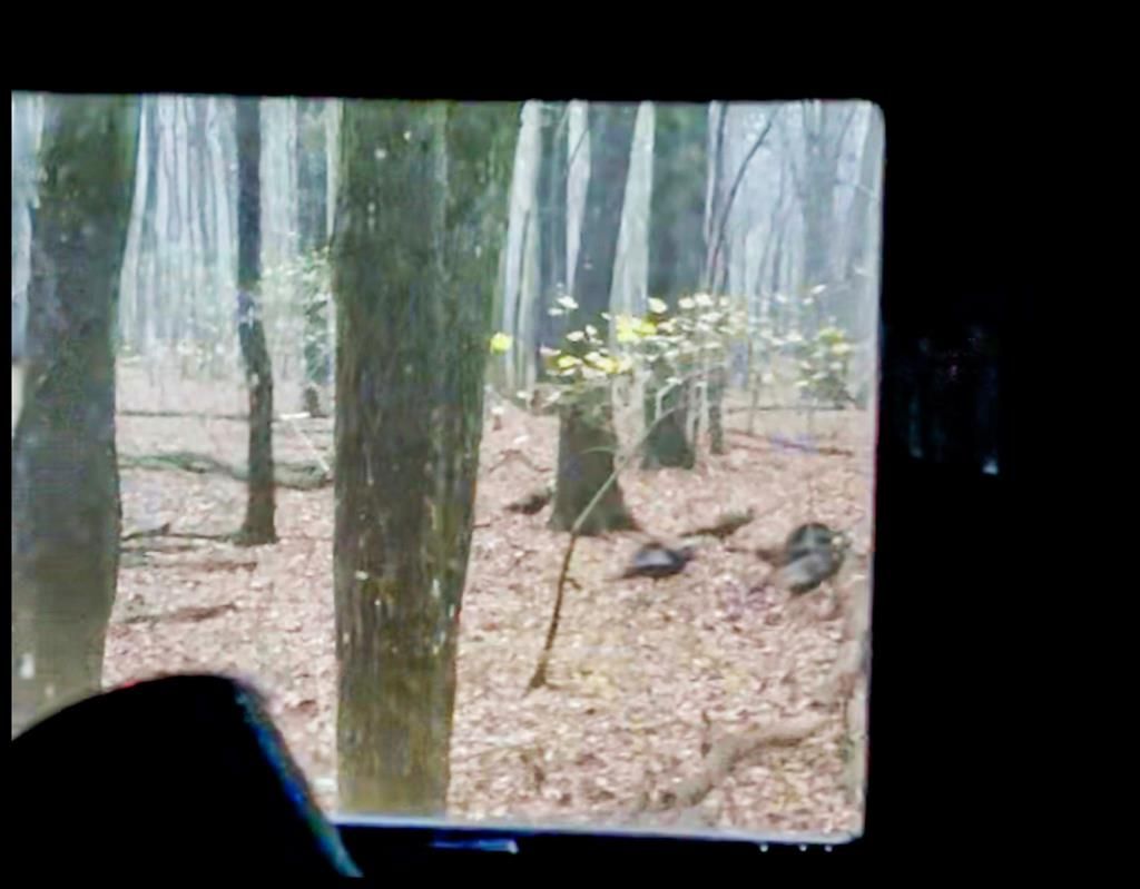 Photo of 0 Howard Street, MARKS, MS 38646 (MLS # 162147)