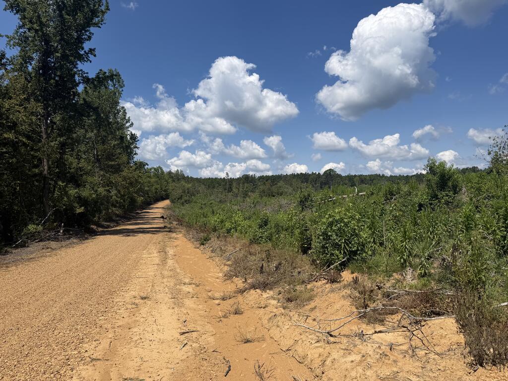 Photo of PARIS, MS 38949 (MLS # 168214)