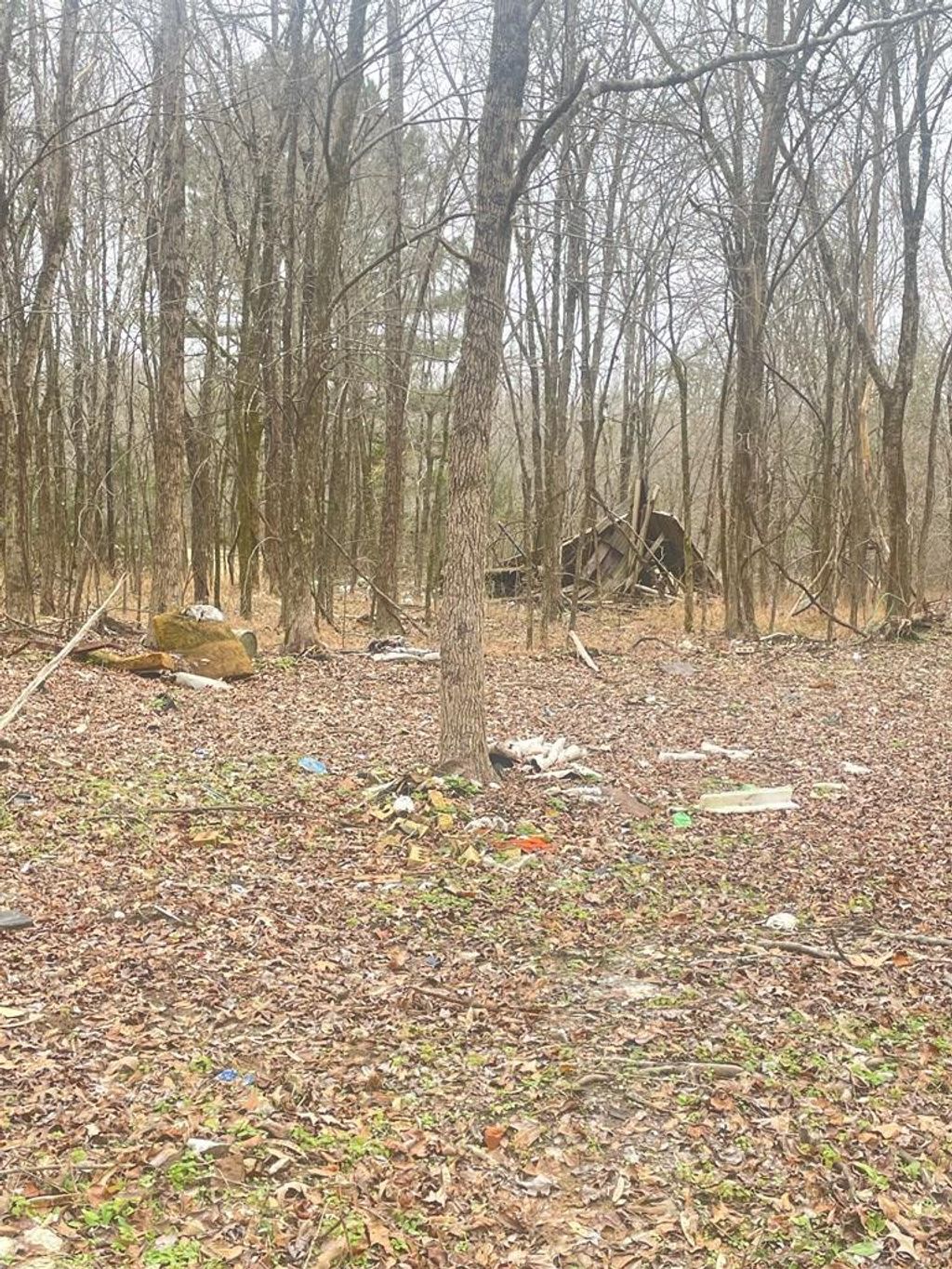 Photo of 937 Matthews Corner Rd, BYHALIA, MS 38611 (MLS # 162285)