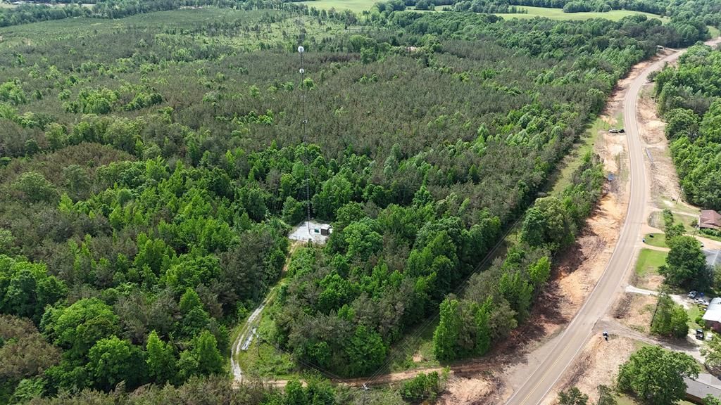 Photo of 00 Hwy 9, BANNER, MS 38913 (MLS # 167353)