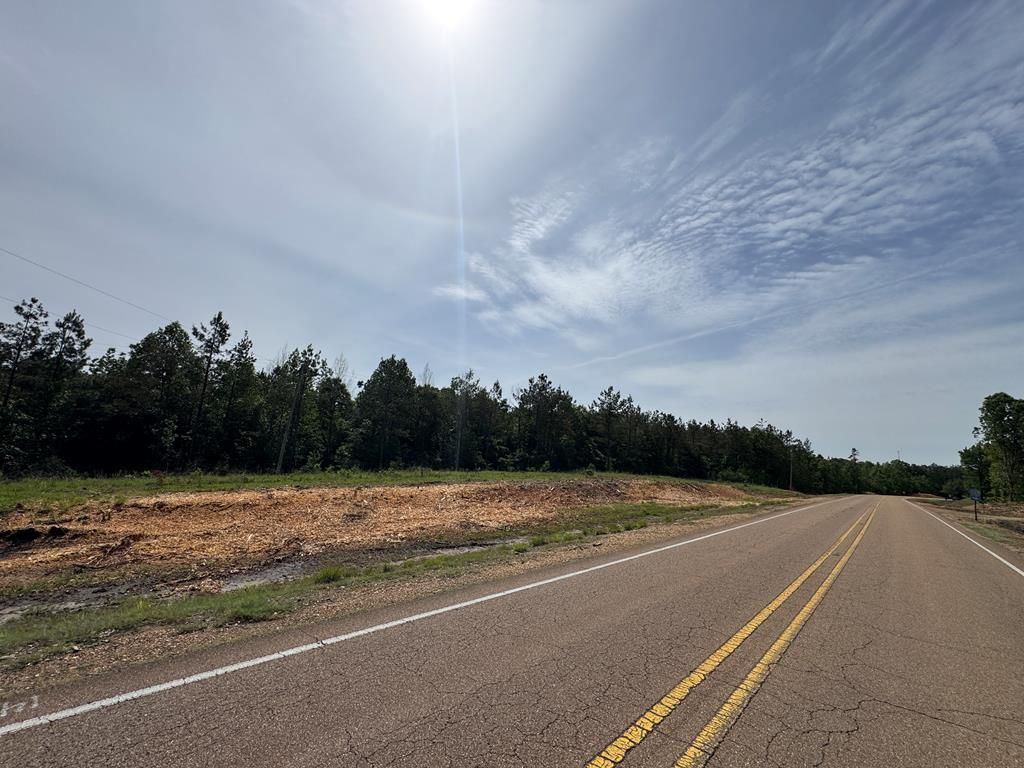 Photo of 00 Hwy 9, BANNER, MS 38913 (MLS # 167353)