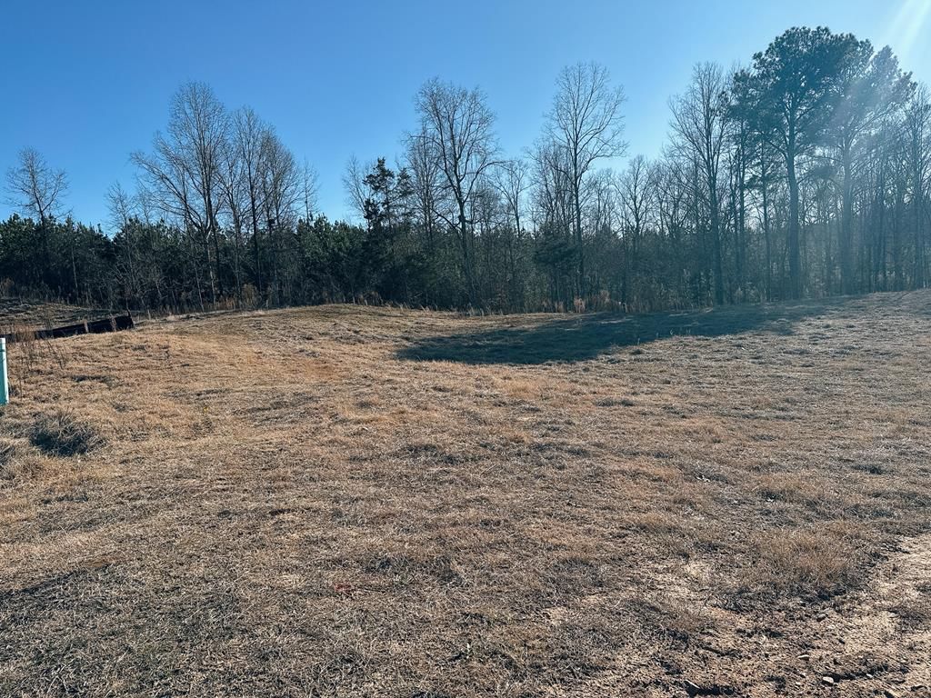 Photo of 827 McCleary Dr, OXFORD, MS 38655 (MLS # 162311)