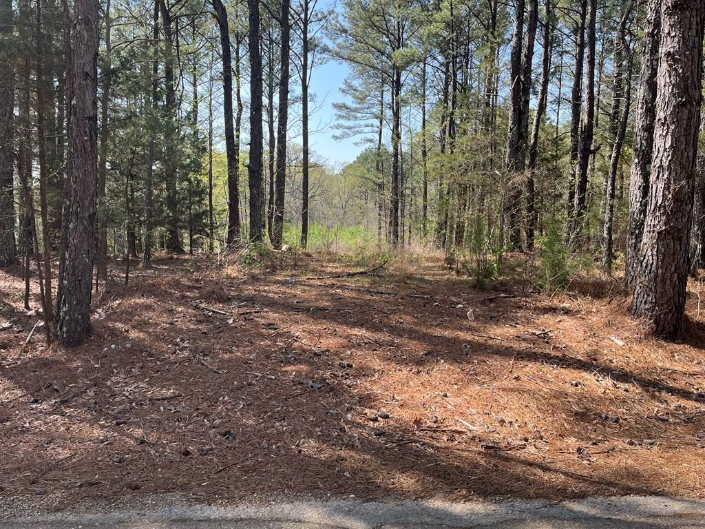 Photo of TBD Cr 207, OXFORD, MS 38655 (MLS # 166972)