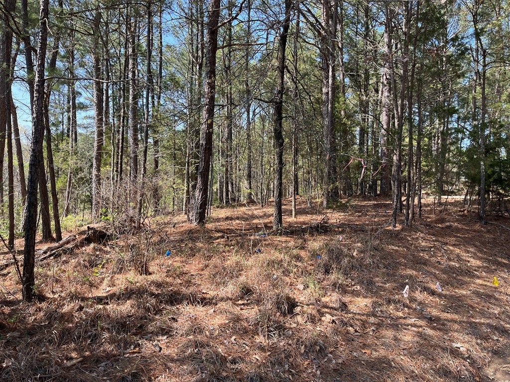 Photo of TBD Cr 207, OXFORD, MS 38655 (MLS # 166972)