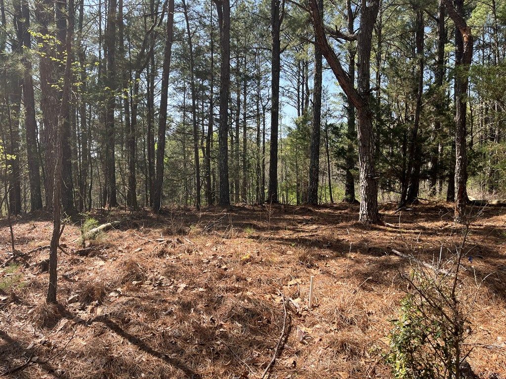 Photo of TBD Cr 207, OXFORD, MS 38655 (MLS # 166972)