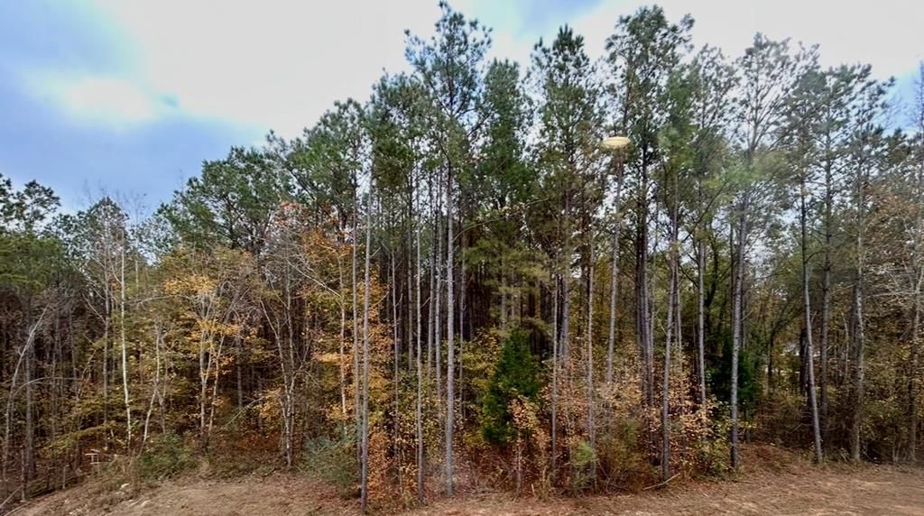 Photo of 00 County Road 2346, Guntown, MS 38849 (MLS # 164662)