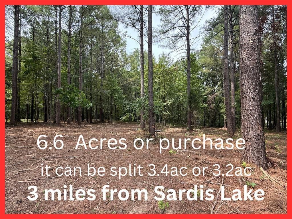 Photo of 000 Hwy 315, SARDIS, MS 38666 (MLS # 166925)