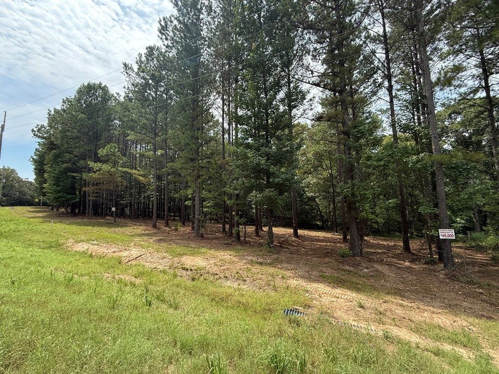 Photo of 000 Hwy 315, SARDIS, MS 38666 (MLS # 166925)