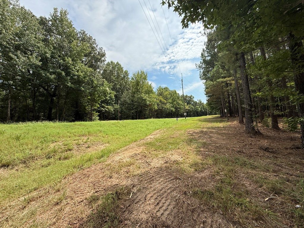 Photo of 000 Hwy 315, SARDIS, MS 38666 (MLS # 166925)