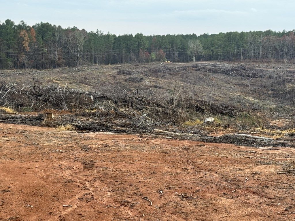 Photo of TBD Cr 442, PARIS, MS 38949 (MLS # 162175)