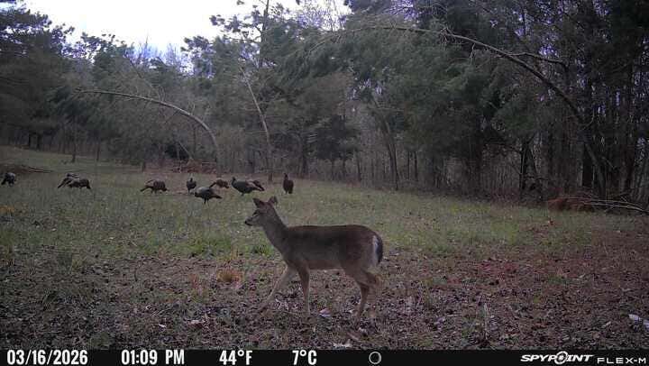 Photo of OXFORD, MS 38655 (MLS # 168294)