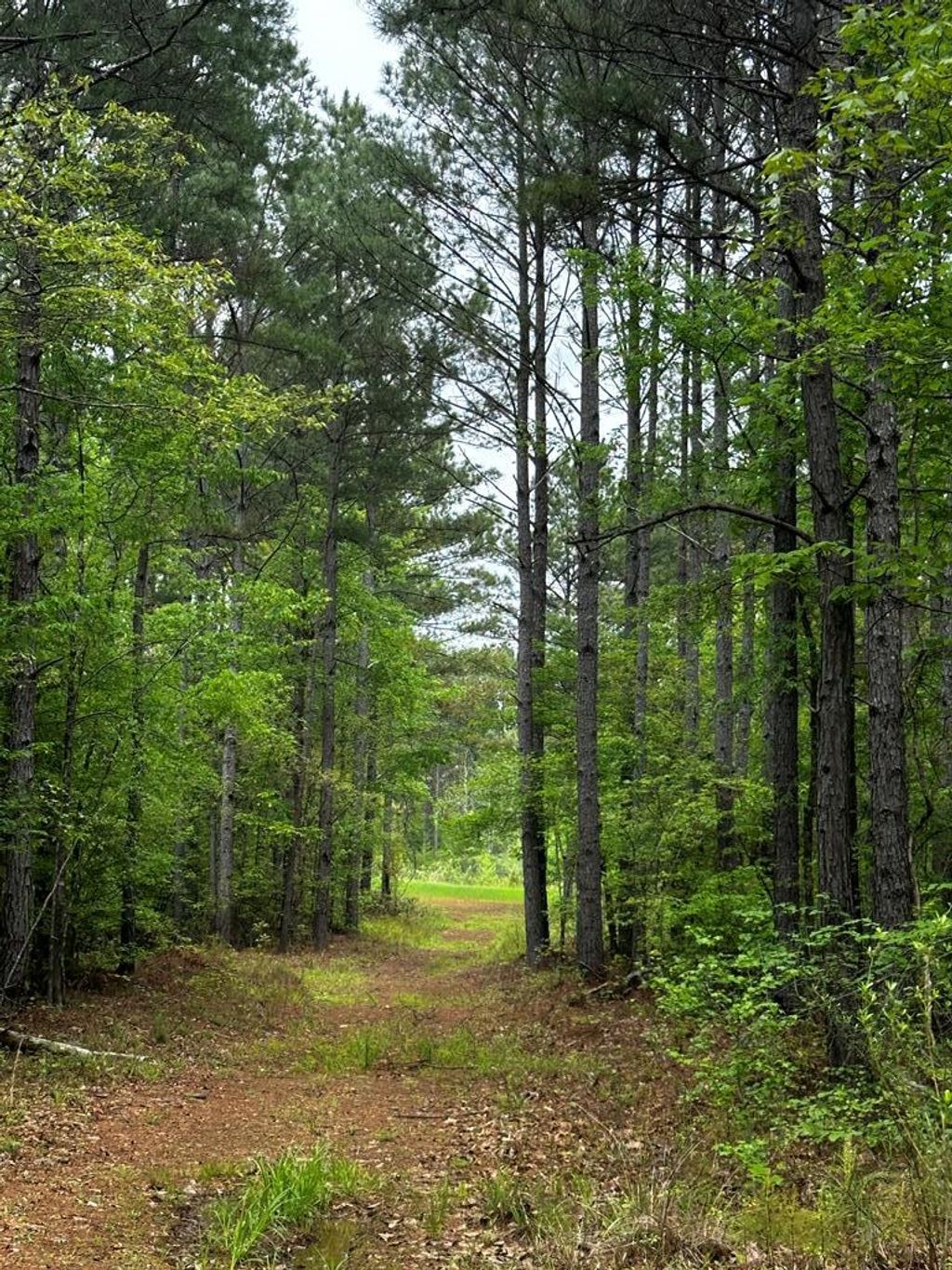 Photo of TBD Hwy 331, OXFORD, MS 38655 (MLS # 164432)