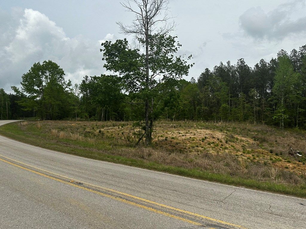Photo of TBD Hwy 331, OXFORD, MS 38655 (MLS # 164432)