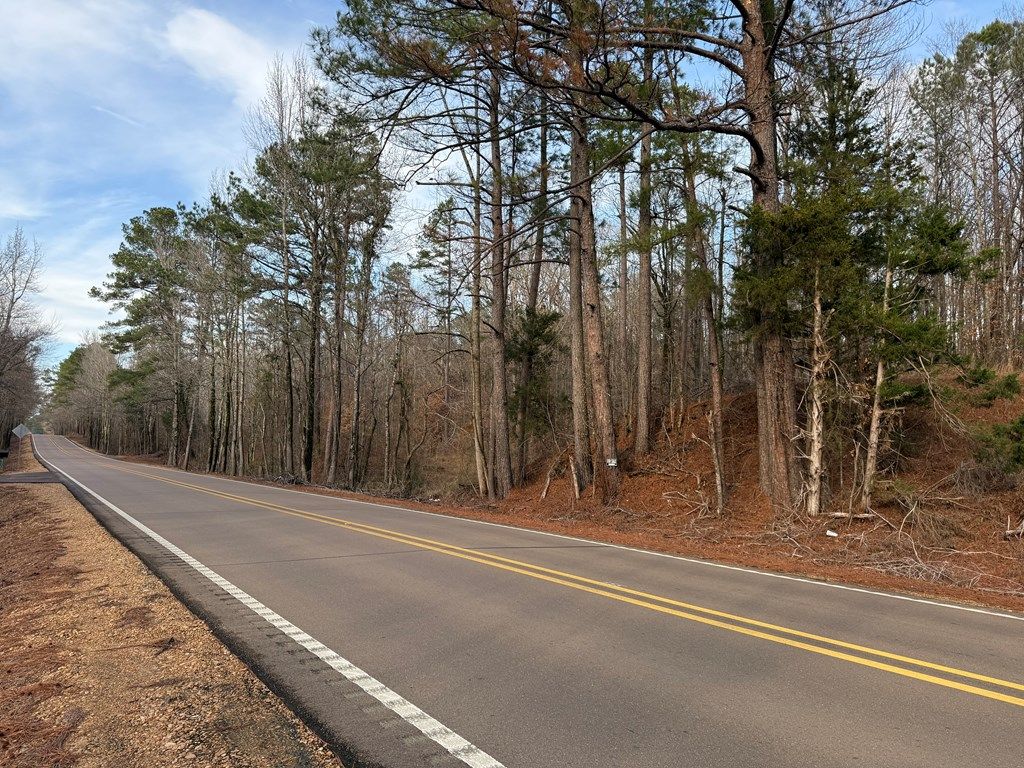 Photo of 000 San Roc Road, GRENADA, MS 38901 (MLS # 164430)