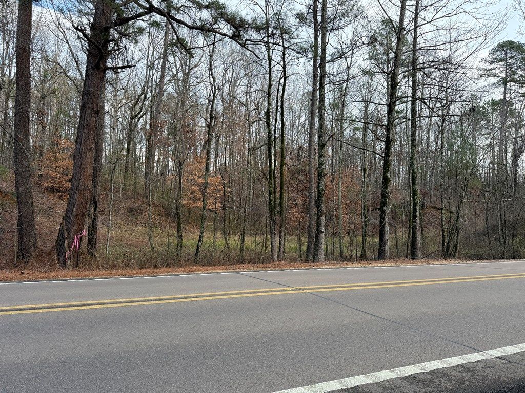 Photo of 000 San Roc Road, GRENADA, MS 38901 (MLS # 164430)