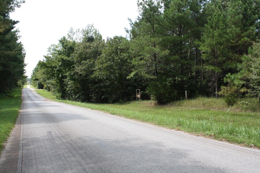 Photo of 0 Cr 160, OXFORD, MS 38655 (MLS # 164608)