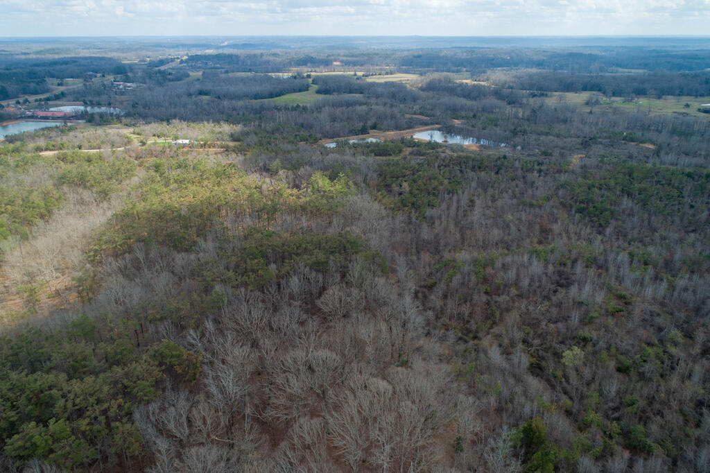 Photo of OXFORD, MS 38655 (MLS # 168405)