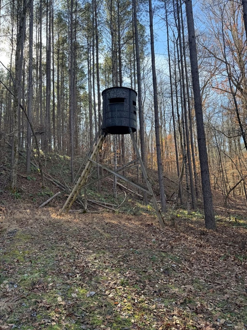 Photo of 418 County Road 200, BIG CREEK, MS 38914 (MLS # 162343)