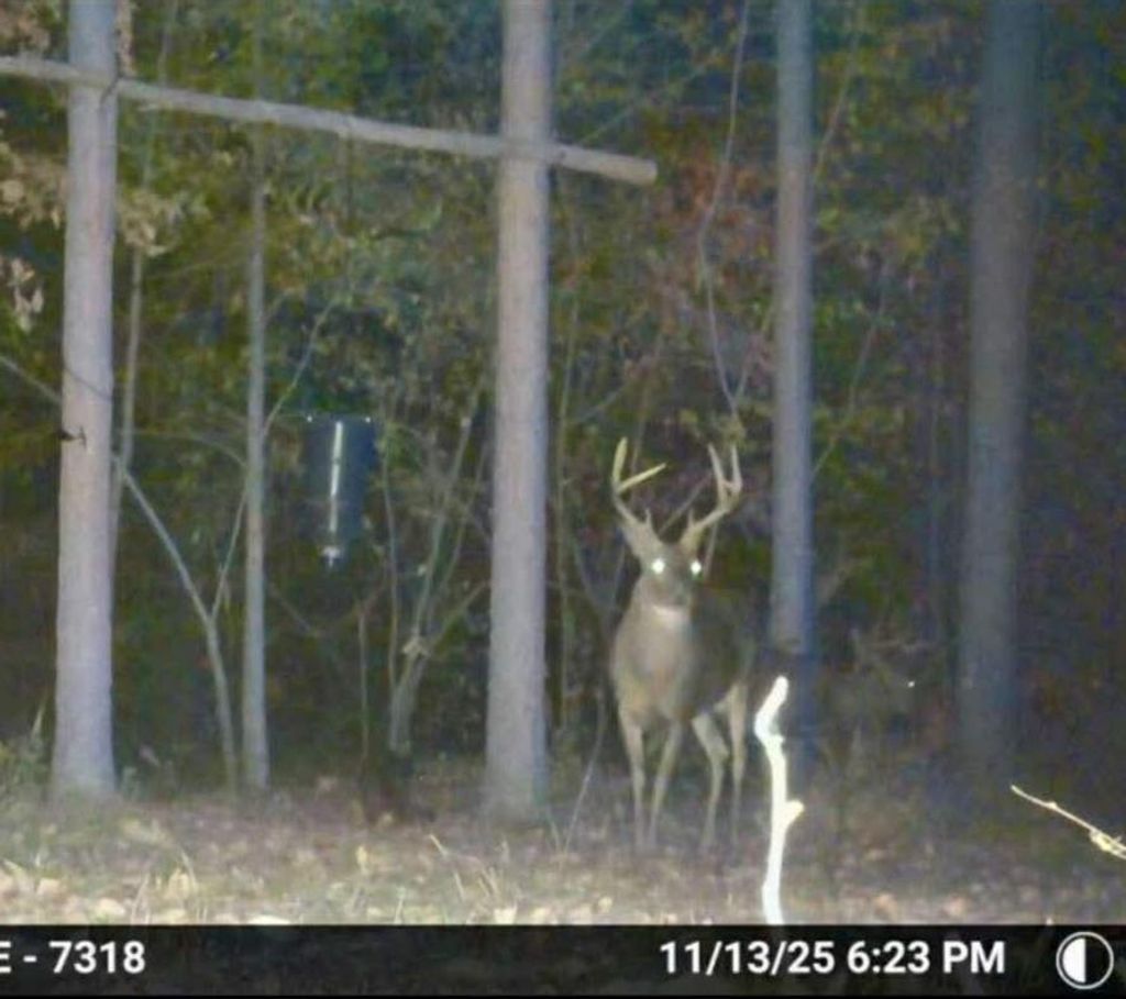 Photo of 418 County Road 200, BIG CREEK, MS 38914 (MLS # 162343)