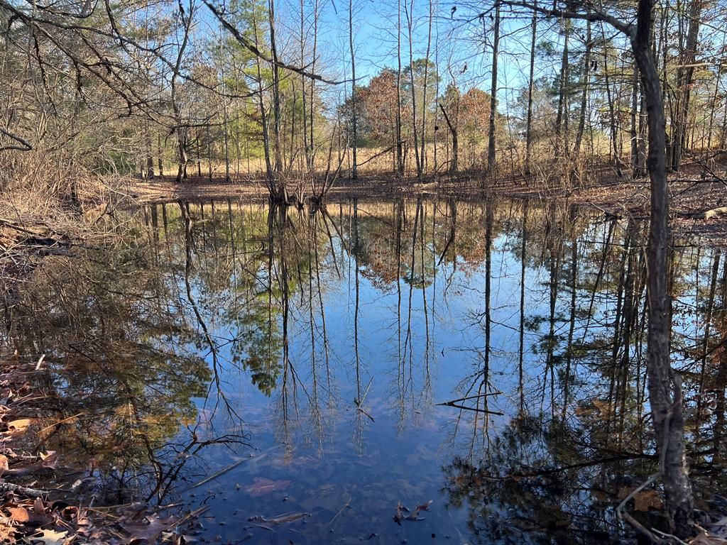 Photo of 4.50 ac County Road 62, OAKLAND, MS 38948 (MLS # 164462)