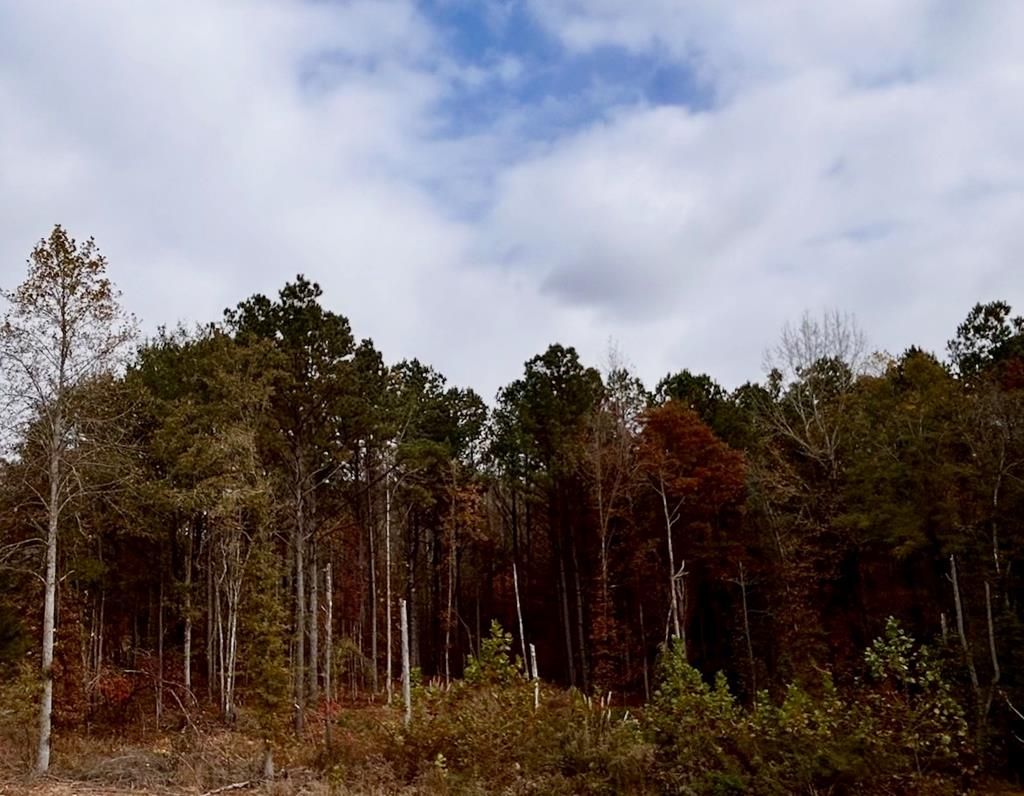 Photo of 00 County Road 2346, Guntown, MS 38849 (MLS # 164661)