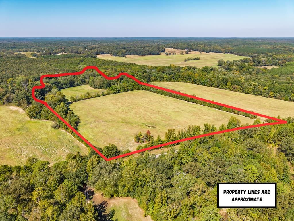 Photo of 20.31 ac County Road 129, COFFEEVILLE, MS 38922 (MLS # 161843)
